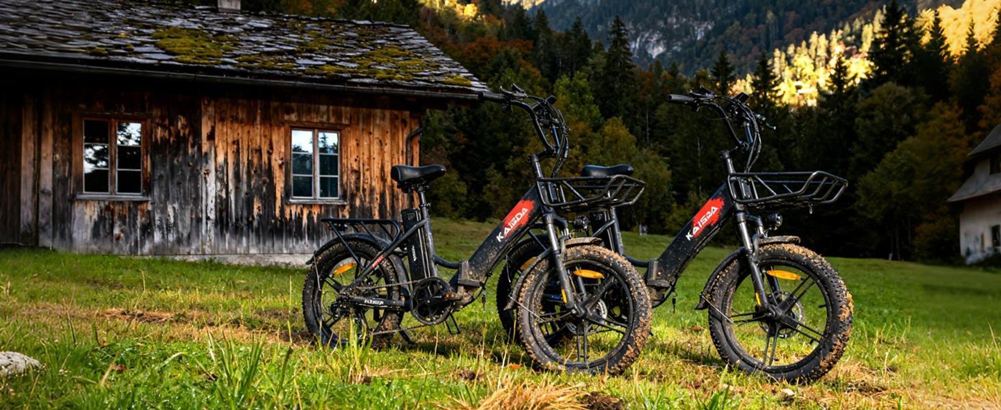 Elektrofahrräder 20 Zoll E Bike Klapprad Pedelec 20.8Ah/36V Lithium-Akku | bis zu 150km, 250W Heckmotor, Trekking/City Pedelec für Damen und Herren