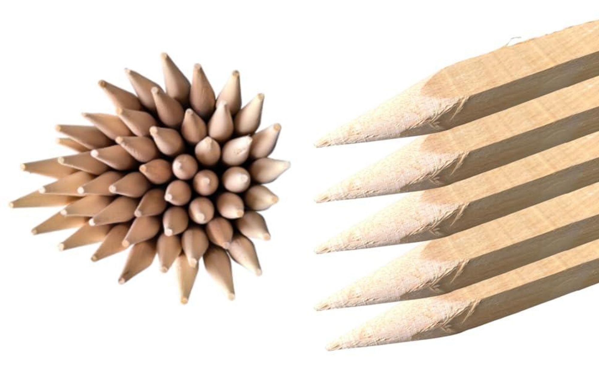 Holzpfähle Buchenholz Quadratisch 25 Stück - Längen 120 cm Holzpflöcke für Markierungen Spitze Tomatenstäbe Pflanzstäbe Tomaten Rankhilfe 25x25 mm