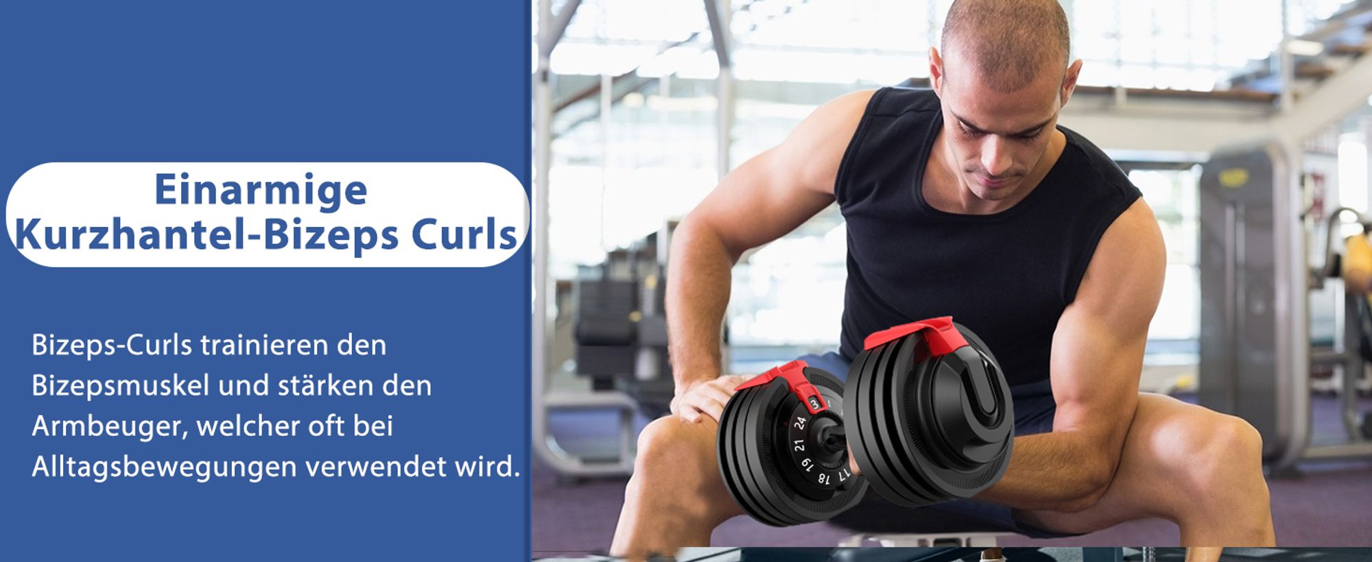 DH FitLife 24 kg verstellbare Hanteln 3-24 kg (12-in-1) mit Scheiben & schnellem Gewichtswechsel, verstellbare Kurzhanteln