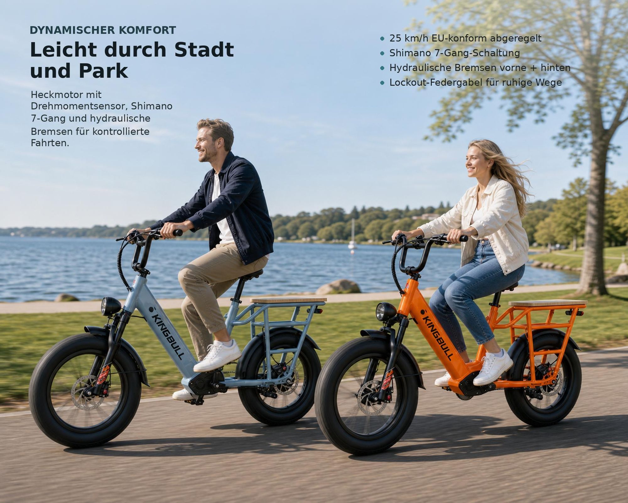 Cargo E-Bike 20 Zoll Fat-Reifen mit 960Wh Akku und bis zu 100 km Reichweite, 250W Heckmotor, Shimano Schaltung, Hydraulische Scheibenbremsen