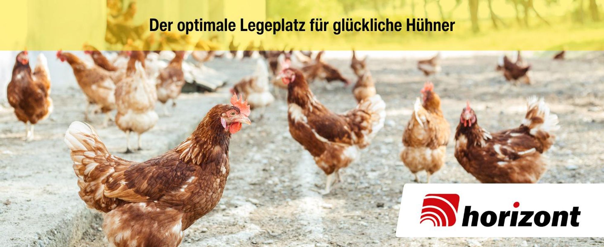 horizont Legenest für Hühner, MyCozyNest, aus Kunststoff, zur Wandmontage, Nest für Hühner, große Hühnerbox, Kunststoffnest, Geflügelnest (2er-pack)