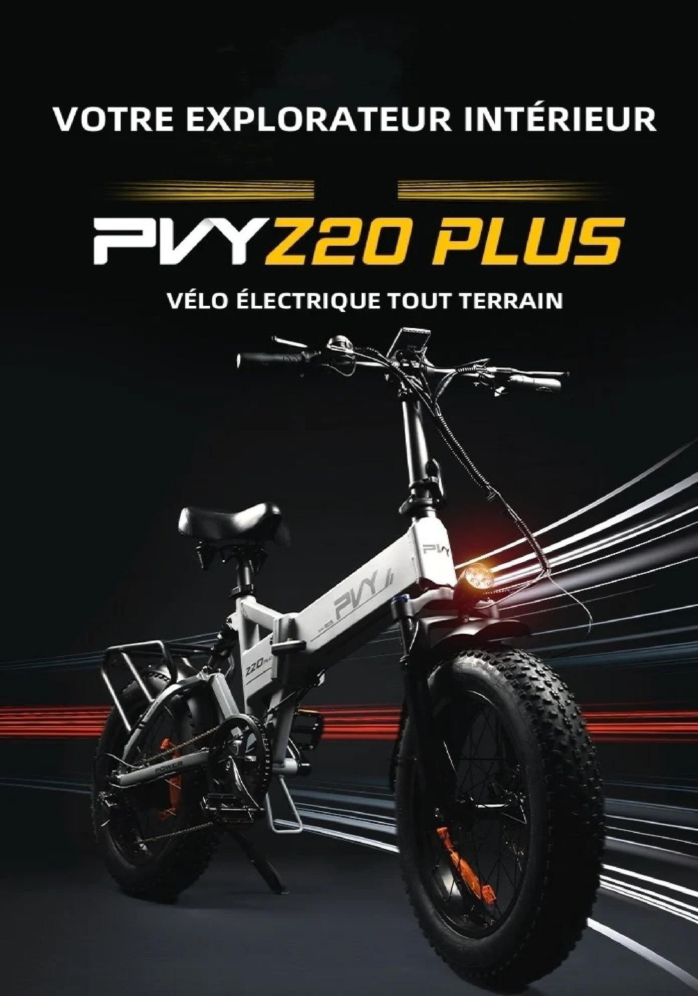 Vélo Électrique PVY Z20 Plus 1000 - Moteur 250W Batterie 48V16.5AH Freins à Disque Hydrauliques Autonomie 120KM - Gris
