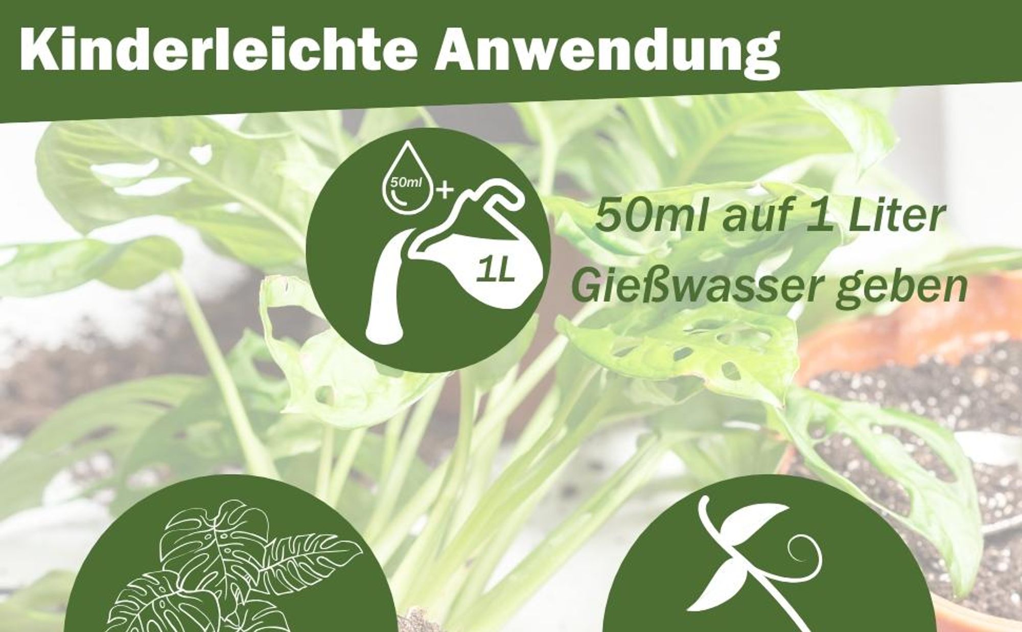 GreenPanda Monstera Dünger & Philodendron Dünger - 1L Blatt-Boost Dünger für Monstera - Flüssigdünger für Zimmer - & Balkonpflanzen