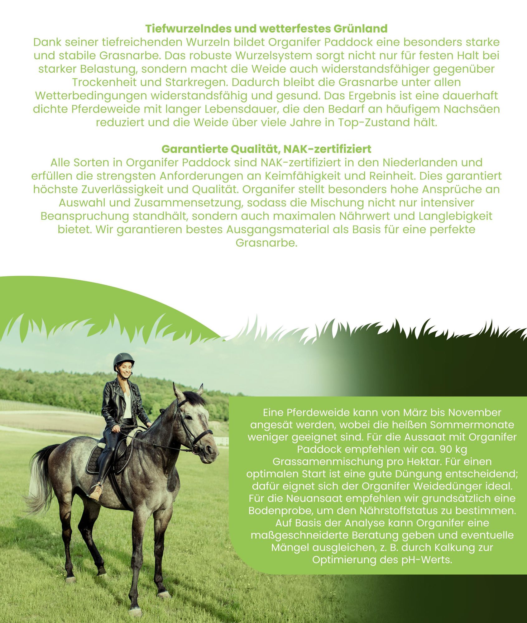 Weidegras Paddock Pferde 15 kg = 1.666 m² Gras für Koppeln & Pferdeweiden – Organifer