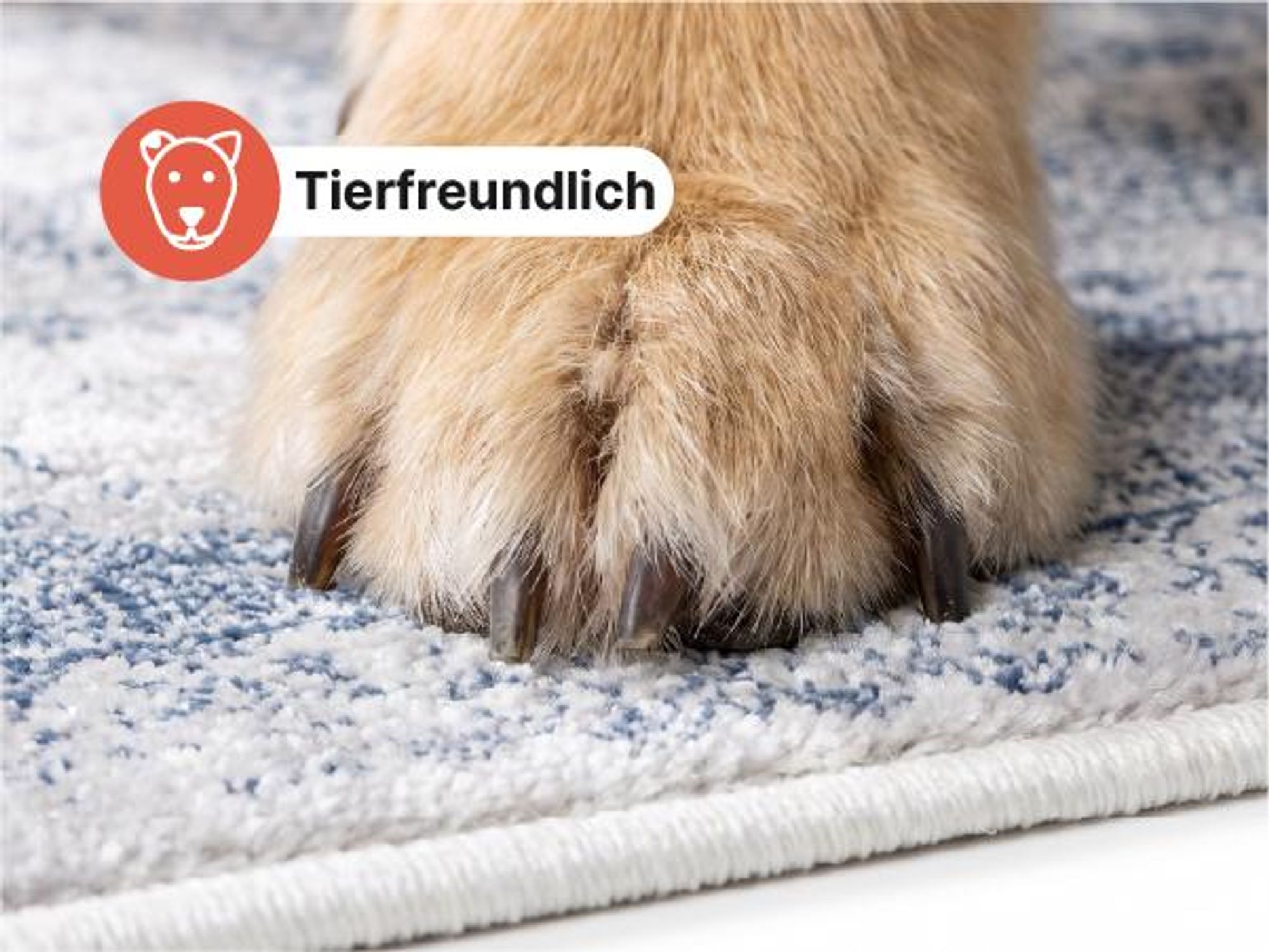Tapiso Teppich SKY Modern Beige Grau Wohnzimmer 140 x 200 cm