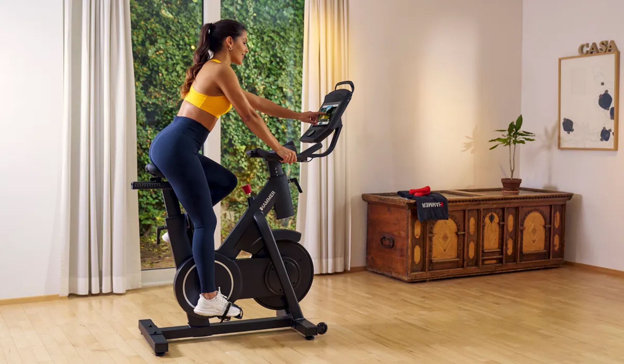 Dein Speedbike mit XL-Display