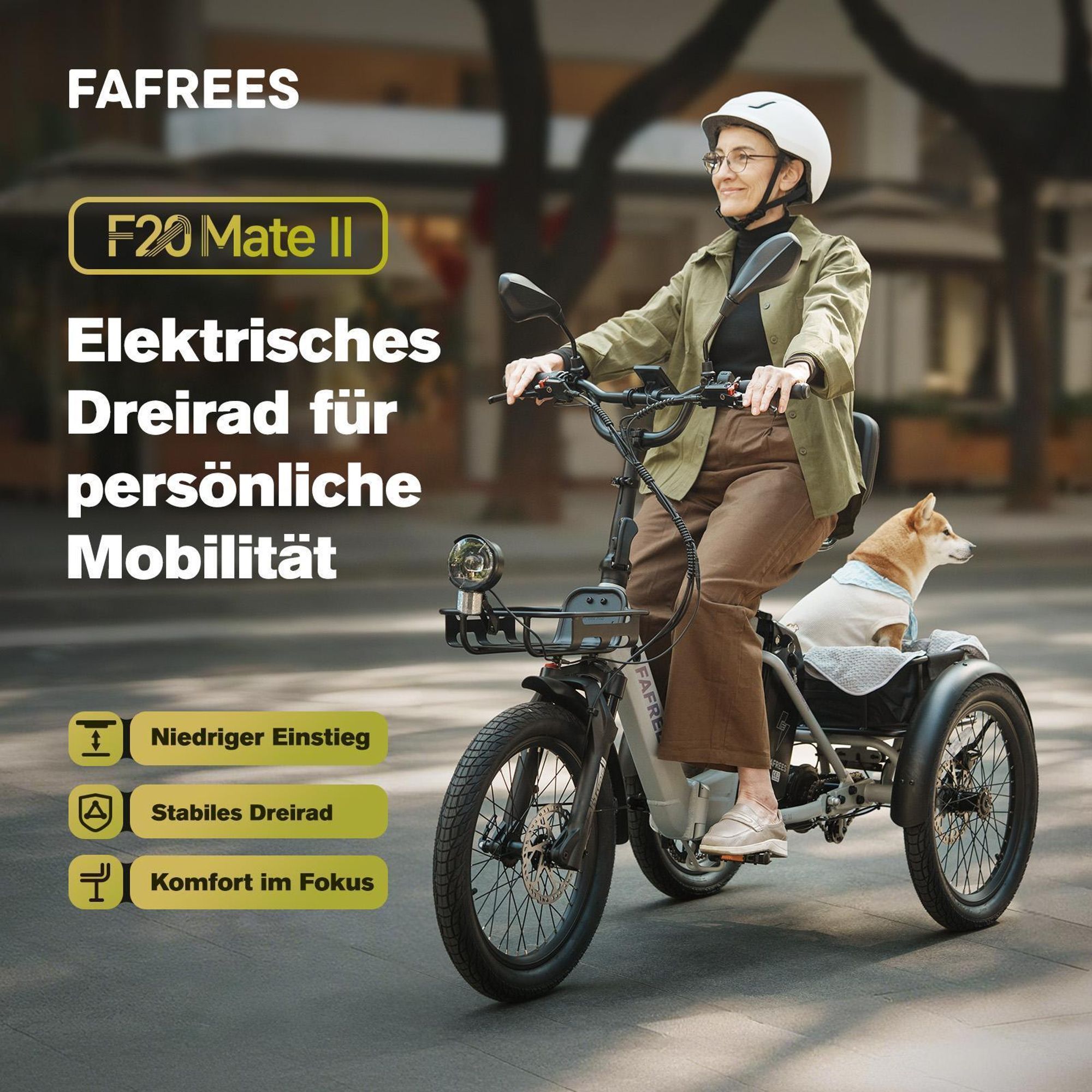 Elektrofahrrad FAFREES F20 Mate II - Motor 250W Akku 48V25AH 20" Reifen Hydraulische Scheibenbremse - Olivgrün