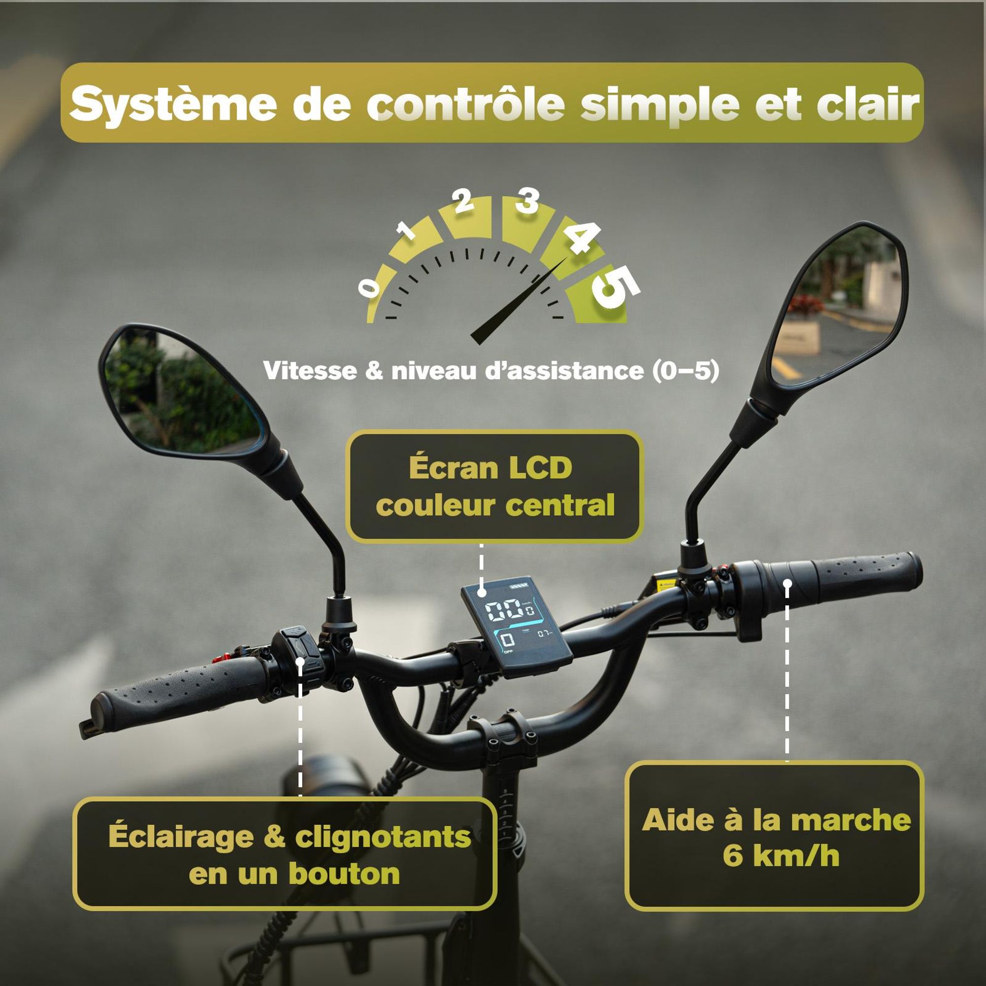 Vélo électrique FAFREES F20 Mate II - Moteur 250W batterie 48V21Ah pneus 20 pouces freins à disque hydrauliques - Noir anthracite