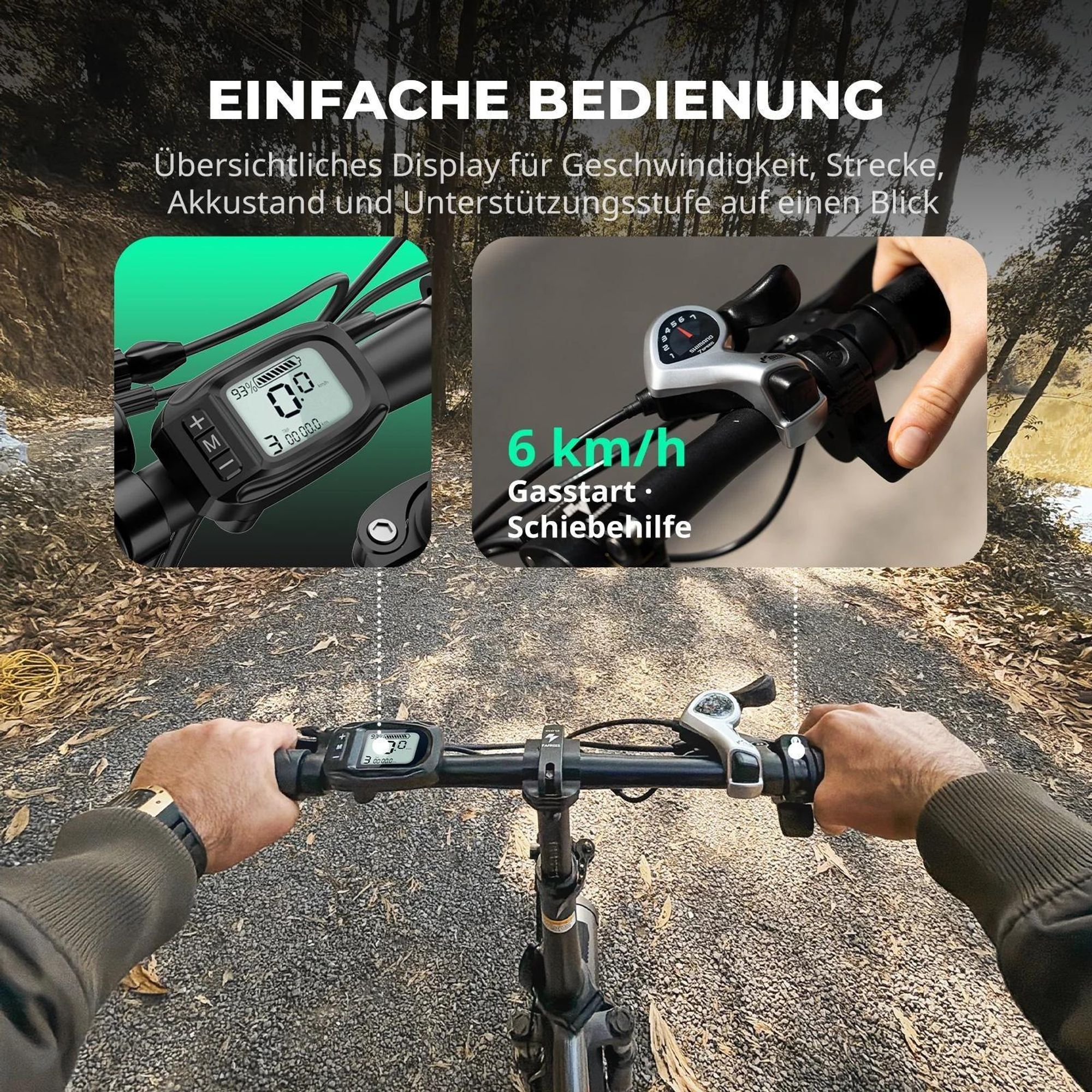 FAFREES F20 City e-bikes - Motor 250W Akku 36V18Ah 20'' Scheibenbremsen - Schwarz
