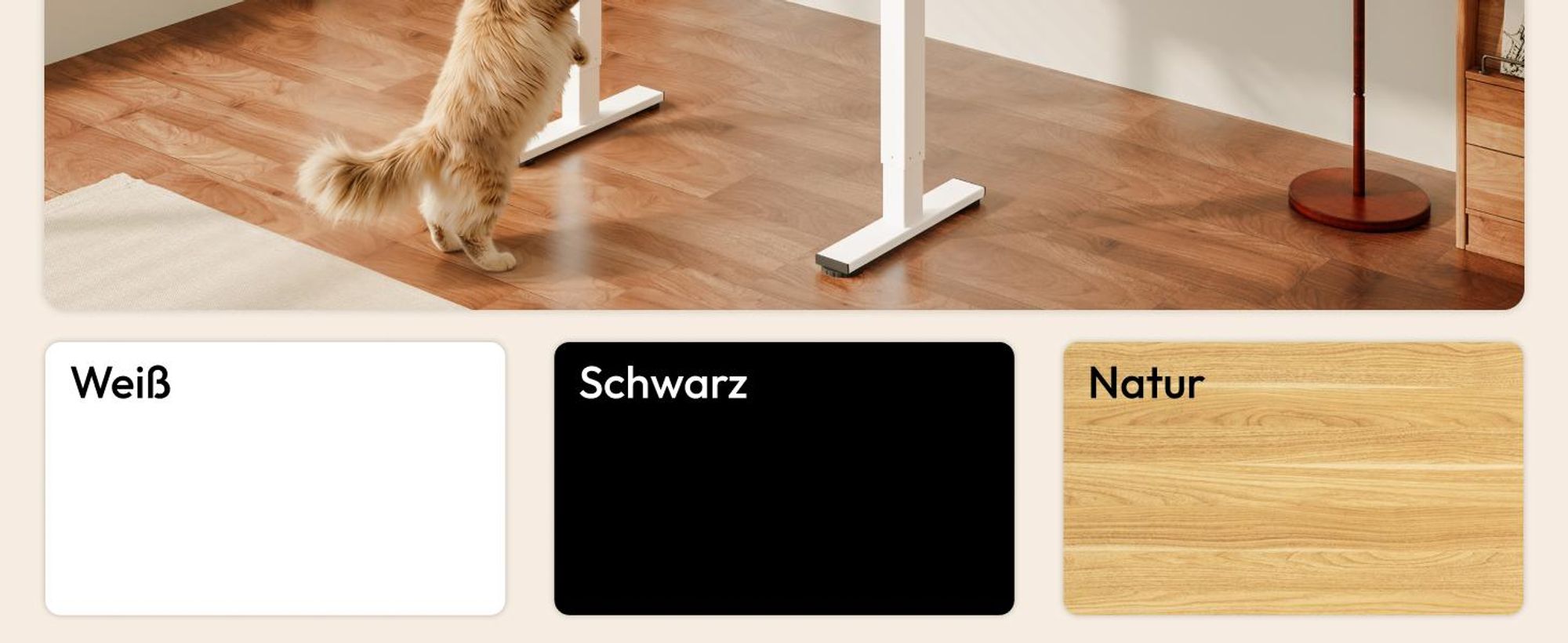 SANODESK QS1 Höhenverstellbarer Schreibtisch, EINTEILIGE TISCHPLATTE, 4 Memory-Funktion, 70 kg Tragkraft, Haken, Kabelmanagement, 110x54cm (Weiß)