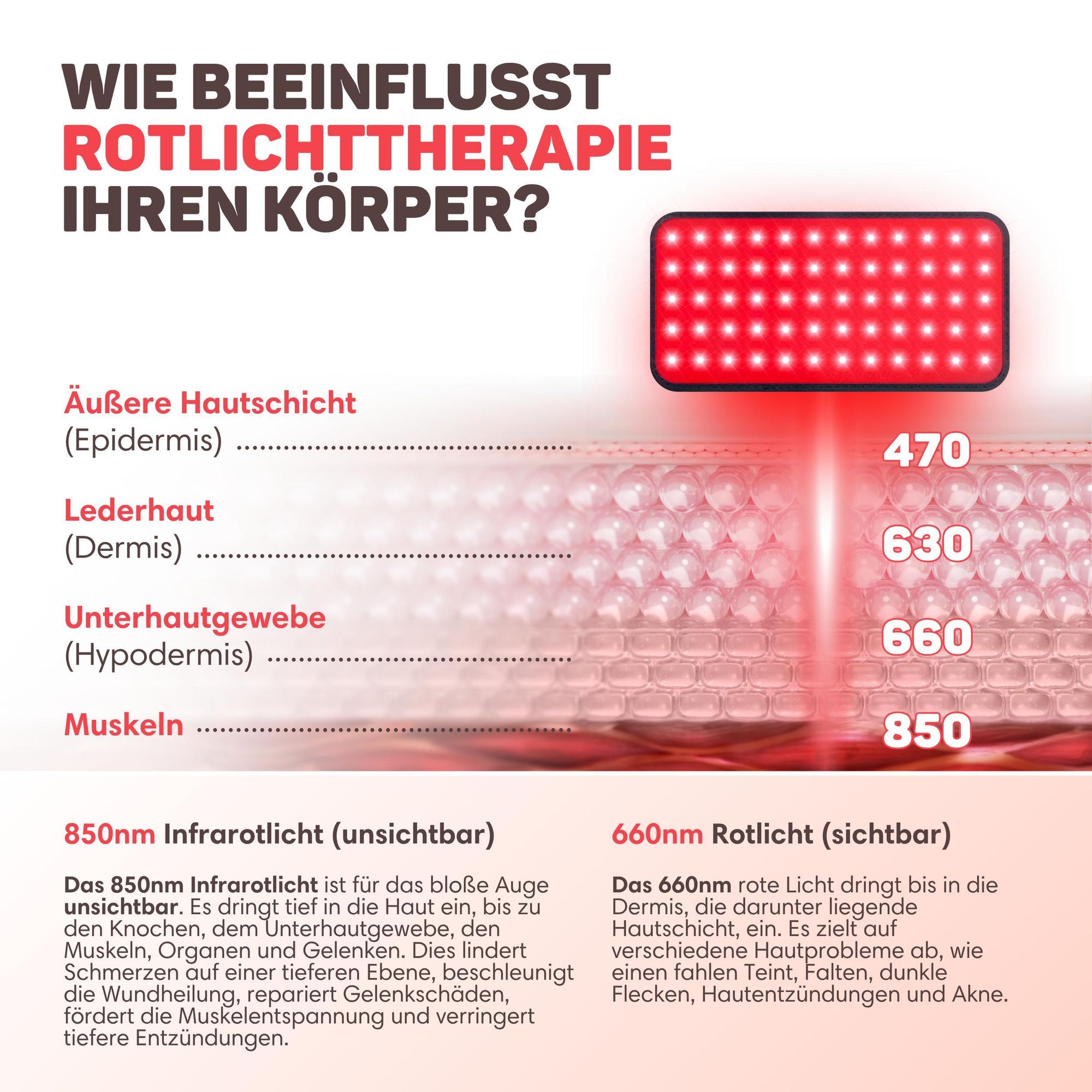 Vulpes Goods Infrarot Therapie Gürtel, Infrarottherapie, Wärmeband, Rücken, Schultern, Nacken, Beine, Rotlichttherapie (660 nm), Nahinfrarot (850 nm)
