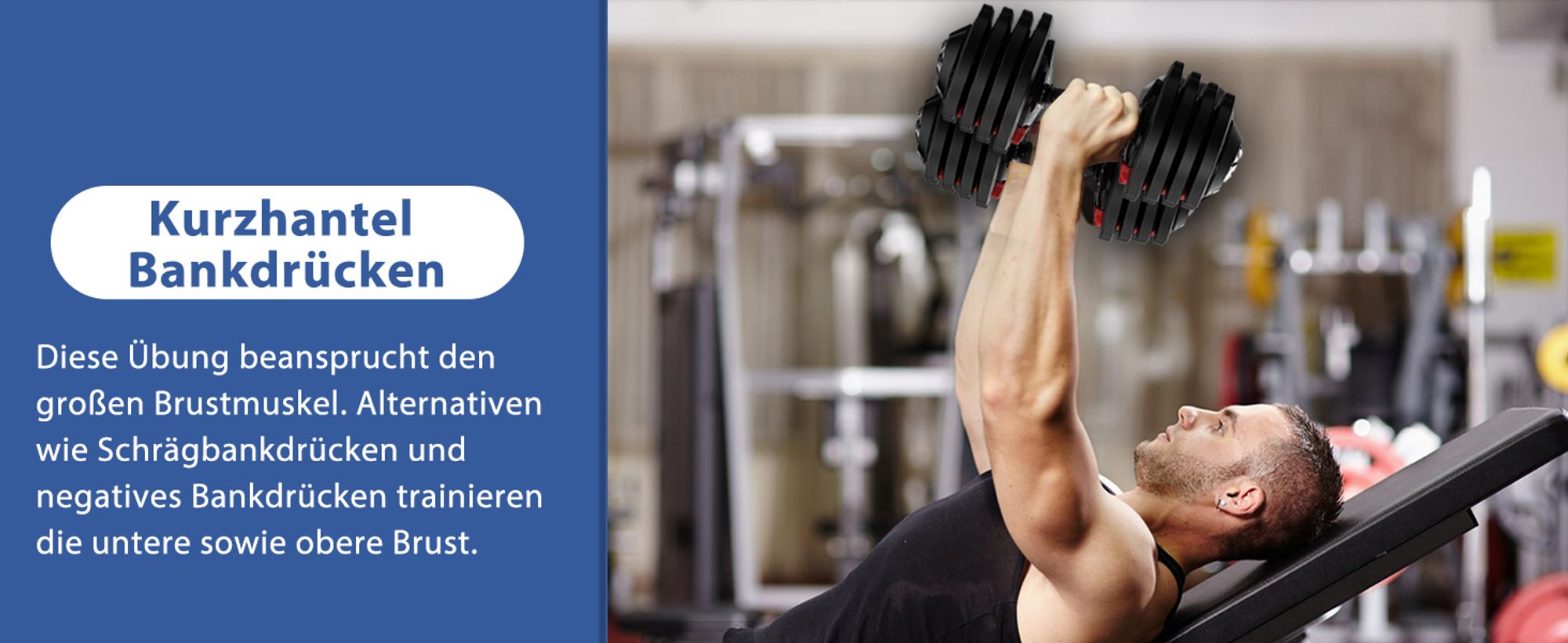 DH FitLife 1 x 18kg (1 Stück) verstellbare Hanteln 1,5 bis 18 KG mit 12 Gewichtsstufen, Kurzhanteln Hanteln Set mit Hantelscheiben, Hanteln Kurzhanteln verstellbar