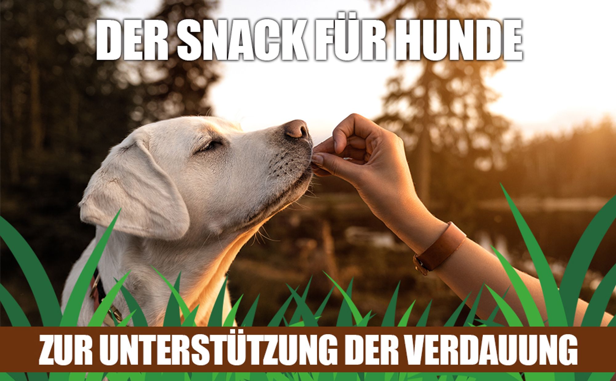 Saint Nutrition® Gras + Kot Nascher Leckerlis für Hunde – Für ein bessere Verdauung – und einen gesunden Magen - Darm Trakt - Verdauungsleckerli
