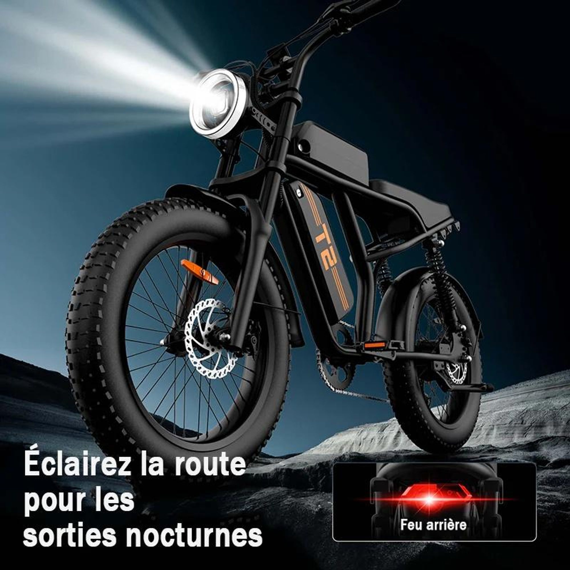 URLIFE T2 Vélo Électrique - Moteur 250W Batterie 48V 15.6Ah Pédalier assisté Freins à disque - NoirFreins à disque - Noir