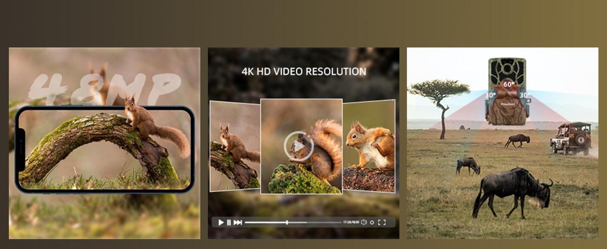 Wildkamera WiFi 4K 48MP mit 32GB Speicherkarte, Nachtsicht, mit Handyübertragung APP