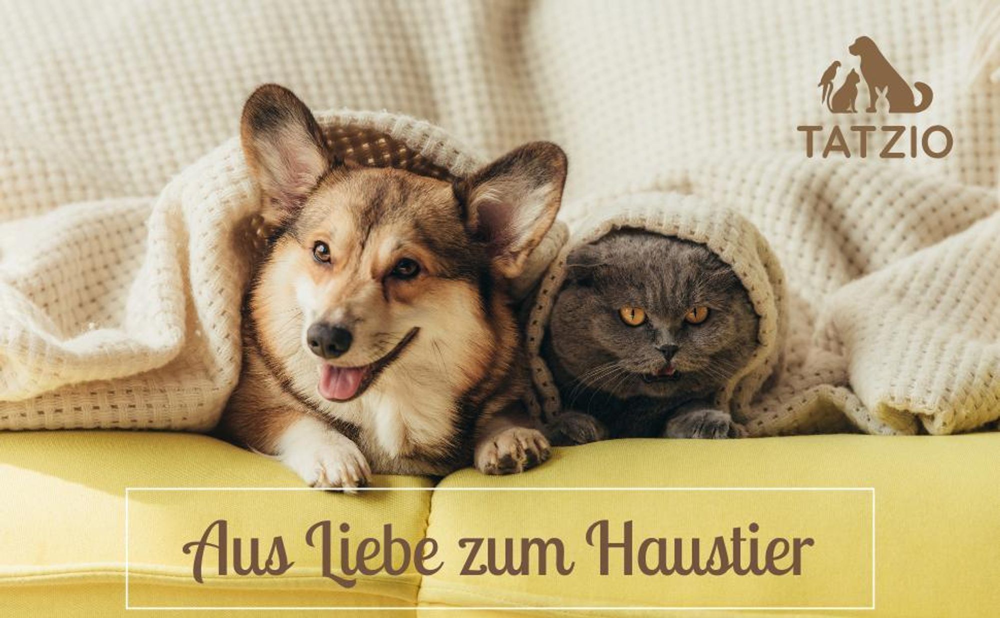 TATZIO Katzenhöhle - Aus Liebe zum Haustier