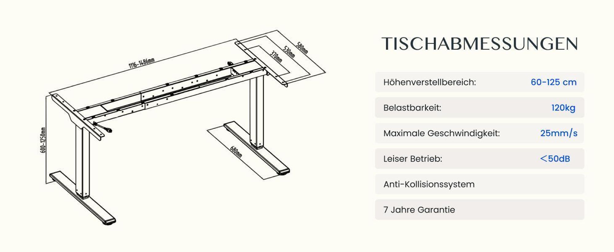 FLEXISPOT E5 Plus Höhenverstellbarer Schreibtisch 160x80cm, Doppelmotor, 25MM EINTEILIGE TISCHPLATTE, USB-Anschluss, 120KG Tragkraft, Ahorn