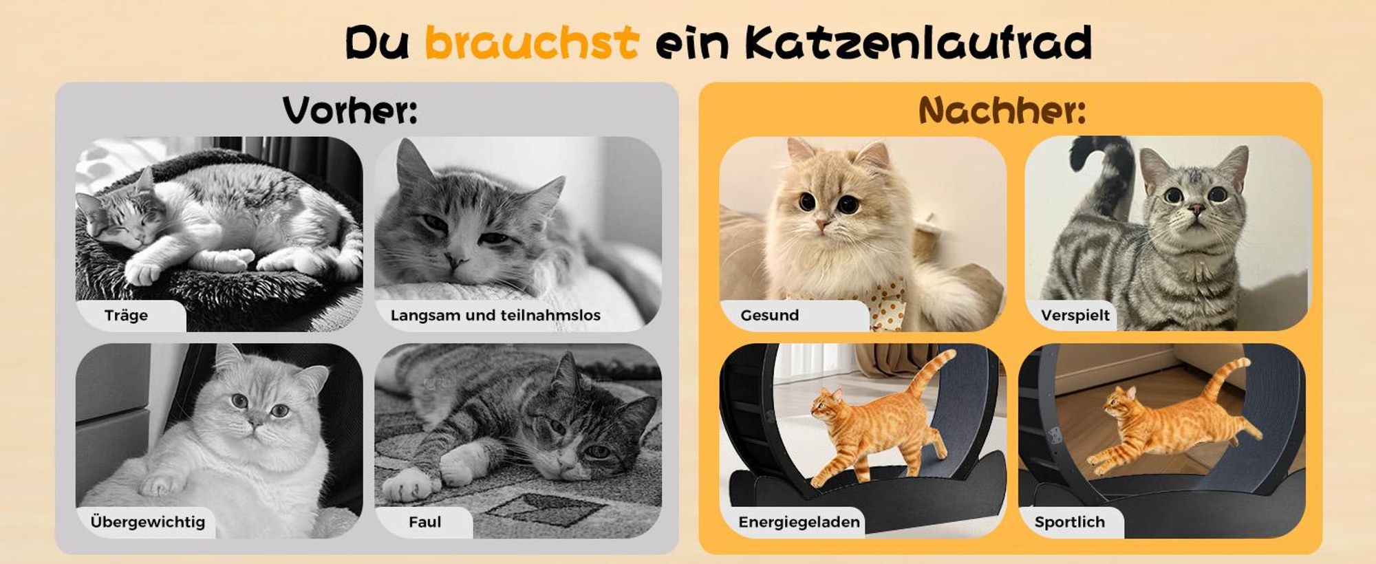 GTPLAYER Katzenlaufrad, laufrad Katze, Extra großer 100 cm, ultraleises Laufrad mit Abnehmbarer Teppich und Spielzeug, Aufkleber, Verriegelung, geeign