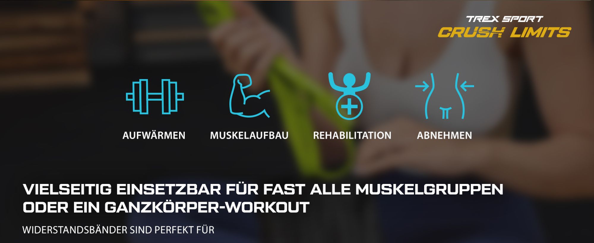 TREX SPORT Gymnastikband 3 Stück Set TX-003PBV Widerstandsband | Klimmzugband, Fitnessband 100% Latex, 2-30 kg, mit Türanker | Resistance Band Neon