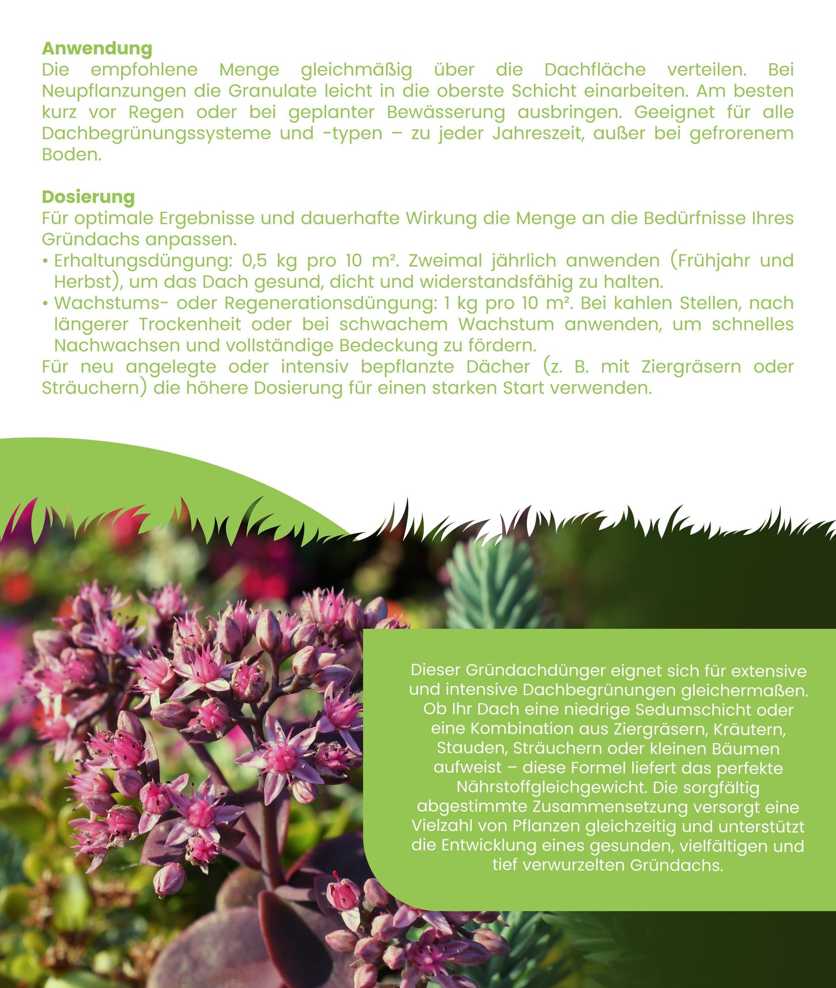 Sedum- & Grndach-Dnger - 10 kg fr 200 m2 - Organifer