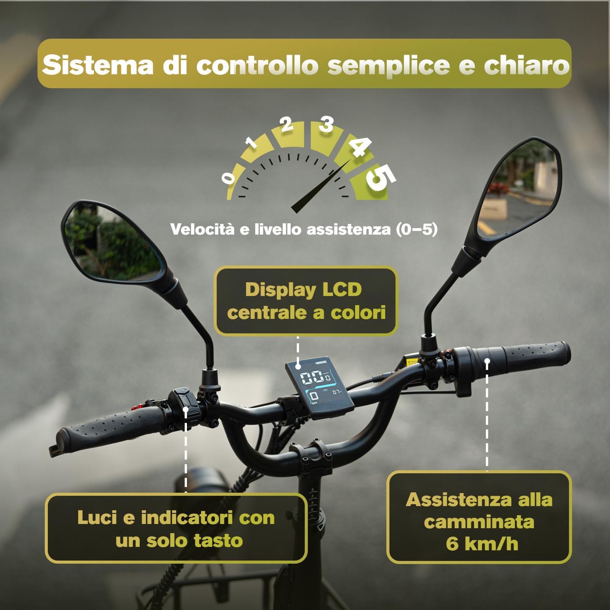 Bicicletta elettrica FAFREES F20 Mate II - Motore 250W Batteria 48V25AH 20" Pneumatici Freno a disco idraulico - Gunfire Nero