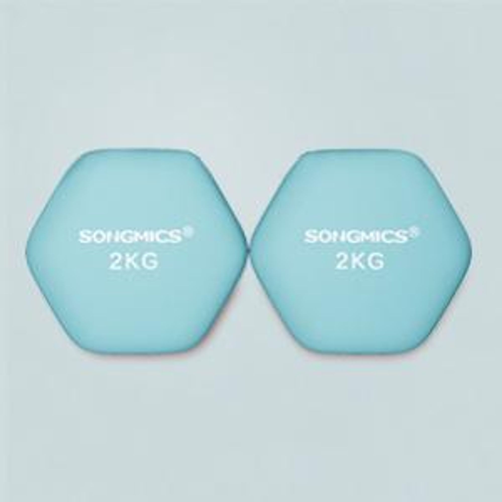 SONGMICS Hanteln, 2er Set, 2 x 2 kg, Hantelset, Kurzhanteln, Hexagon, Neopren-Beschichtung, Krafttraining, Workout, Fitnesstraining, für Zuhause
