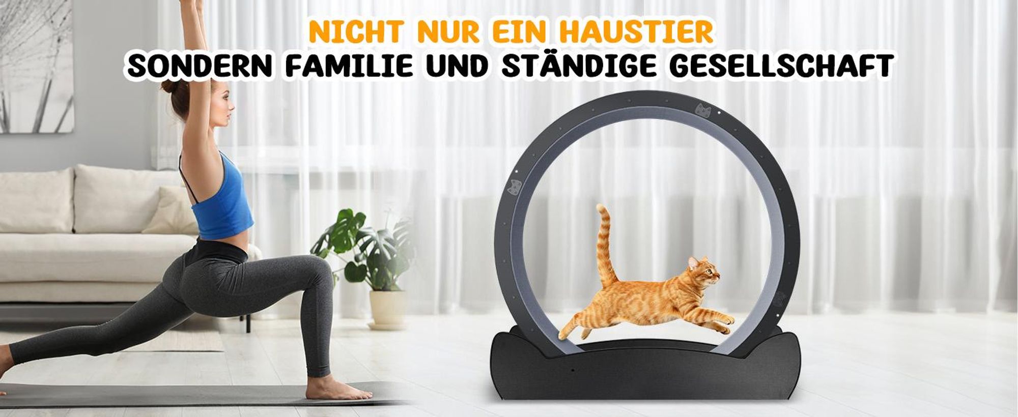 GTPLAYER Katzenlaufrad, laufrad Katze, Extra großer 100 cm, ultraleises Laufrad mit Abnehmbarer Teppich und Spielzeug, Aufkleber, Verriegelung, geeign