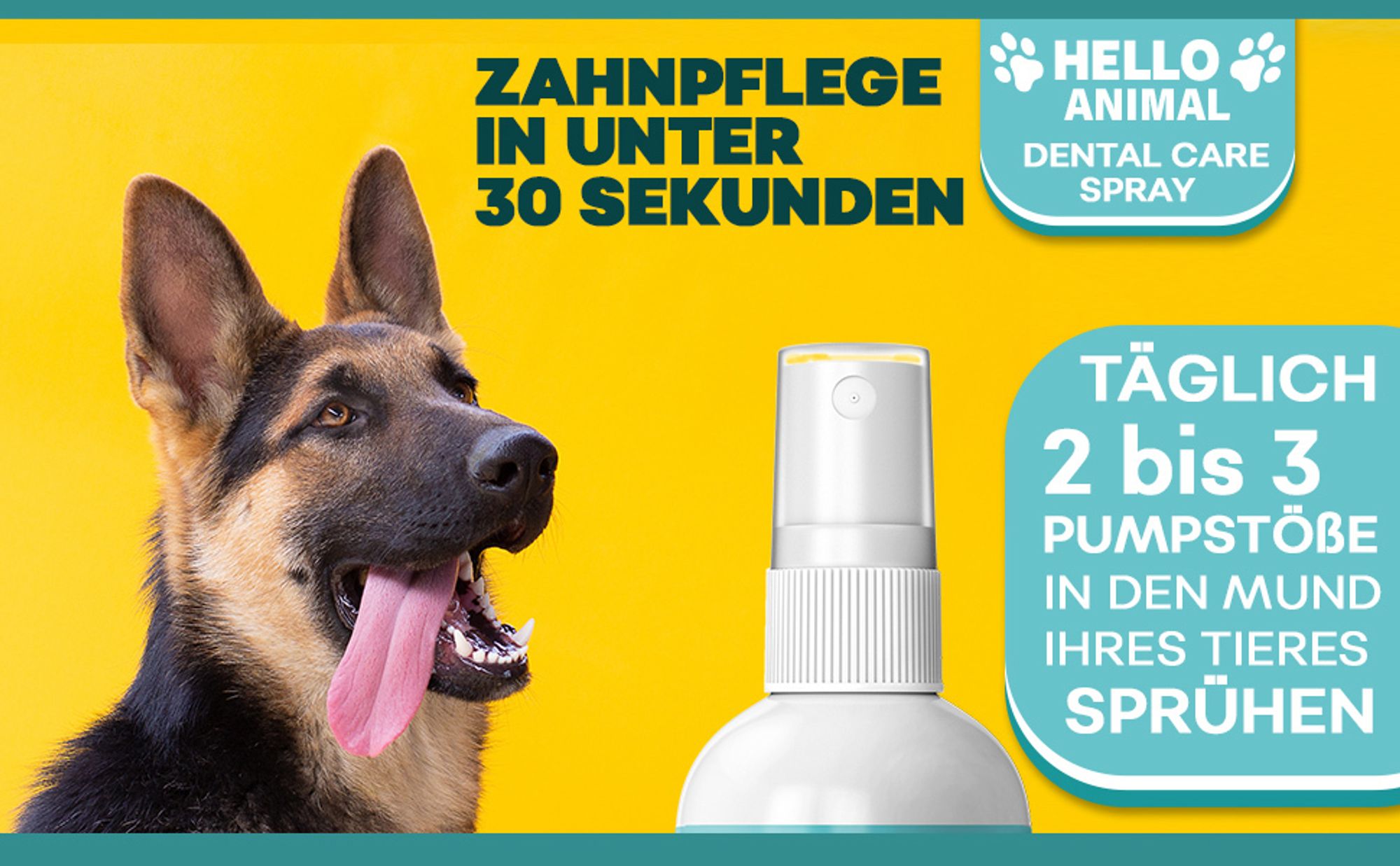 Hello Animal® – Dental Spray - für Hunde und Katzen – Zahnsteinspray für Hunde – Zahnstein selbst entfernen – Zahnspray für Hunde gegen Mundgeruch