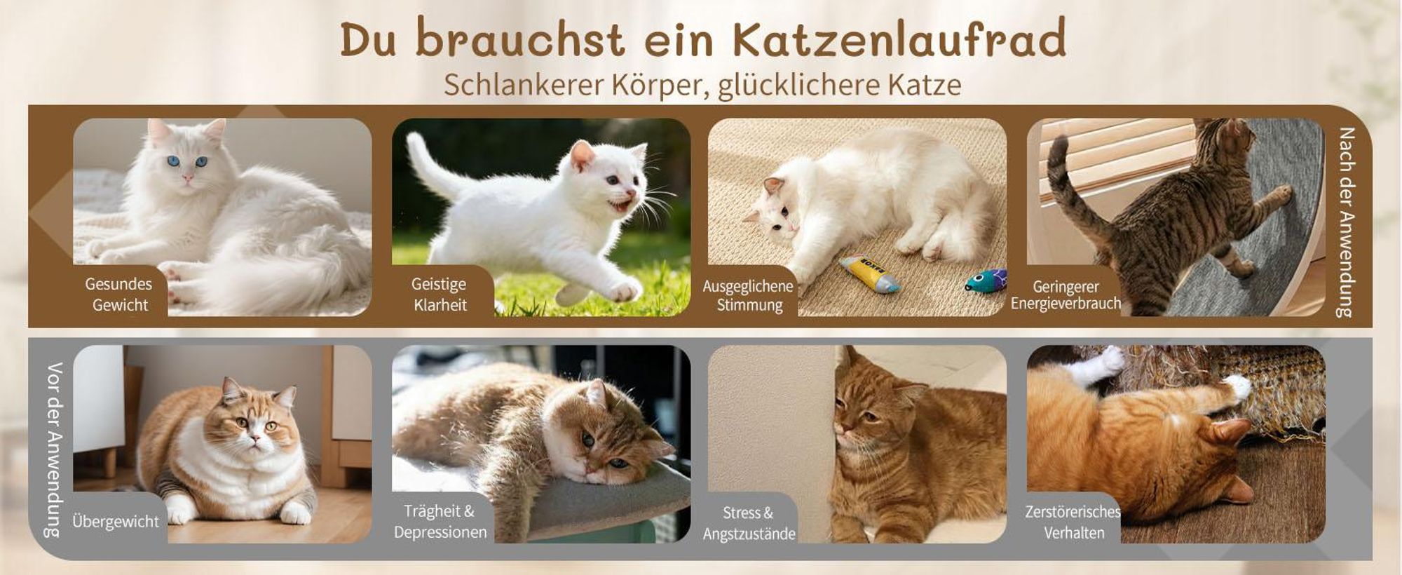 FCH Katzenlaufrad, Laufband für Katzen, Innendurchmesser 80cm, PP-Kunststoff, leise Laufband und Sicherheitsschloss-Design, Cremefarben