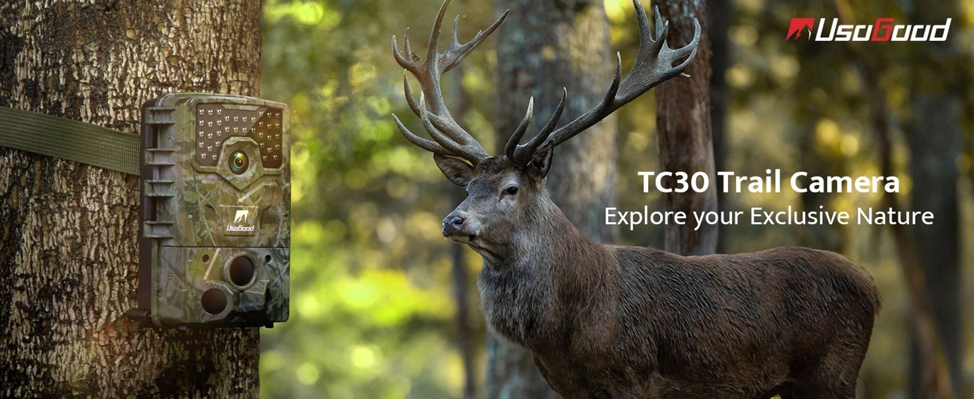 TC30 3 PIR 120° Erkennungsbereich Nachtsicht Jagdkamera