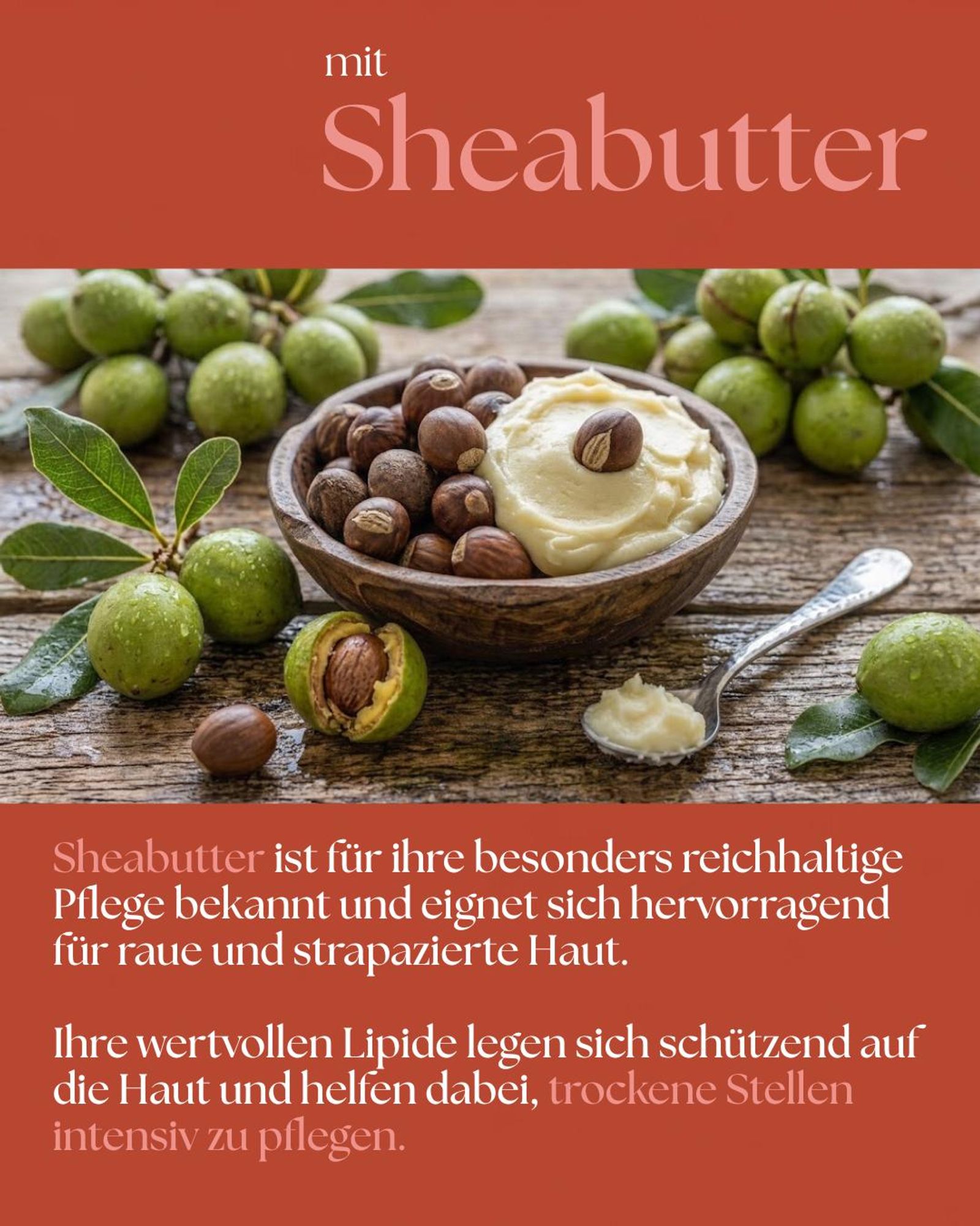 VALENTIN Kosmetik Handcreme Mandarine & Jasmin mit Sheabutter, Aloe Vera, Kamillenblütenextrakt & Vitamin E 300ml
