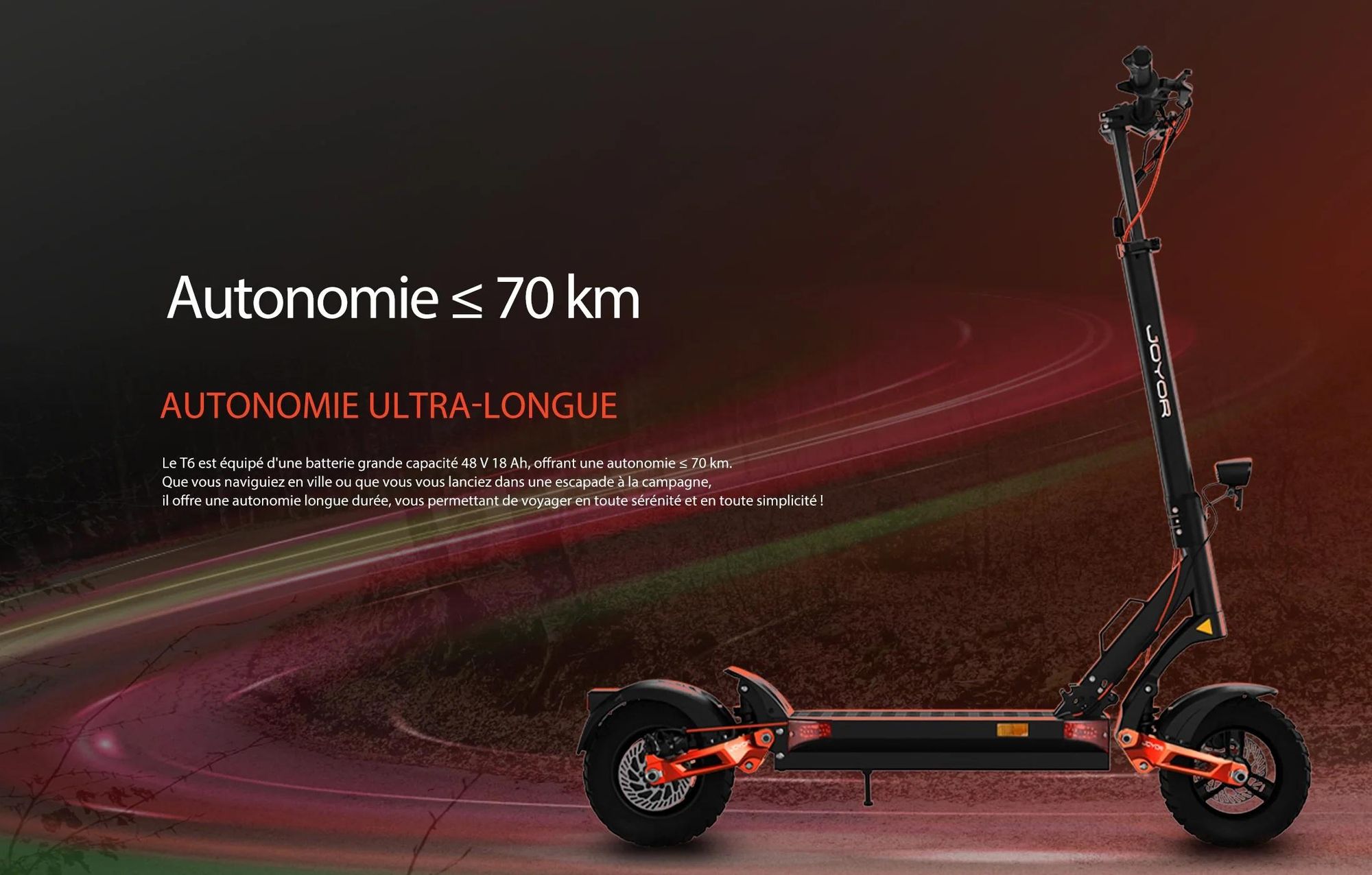 JOYOR T6 Pliable Trottinette électrique - Moteur 600W Batterie 48V18AH Pneus de 10 Pouces - Noir