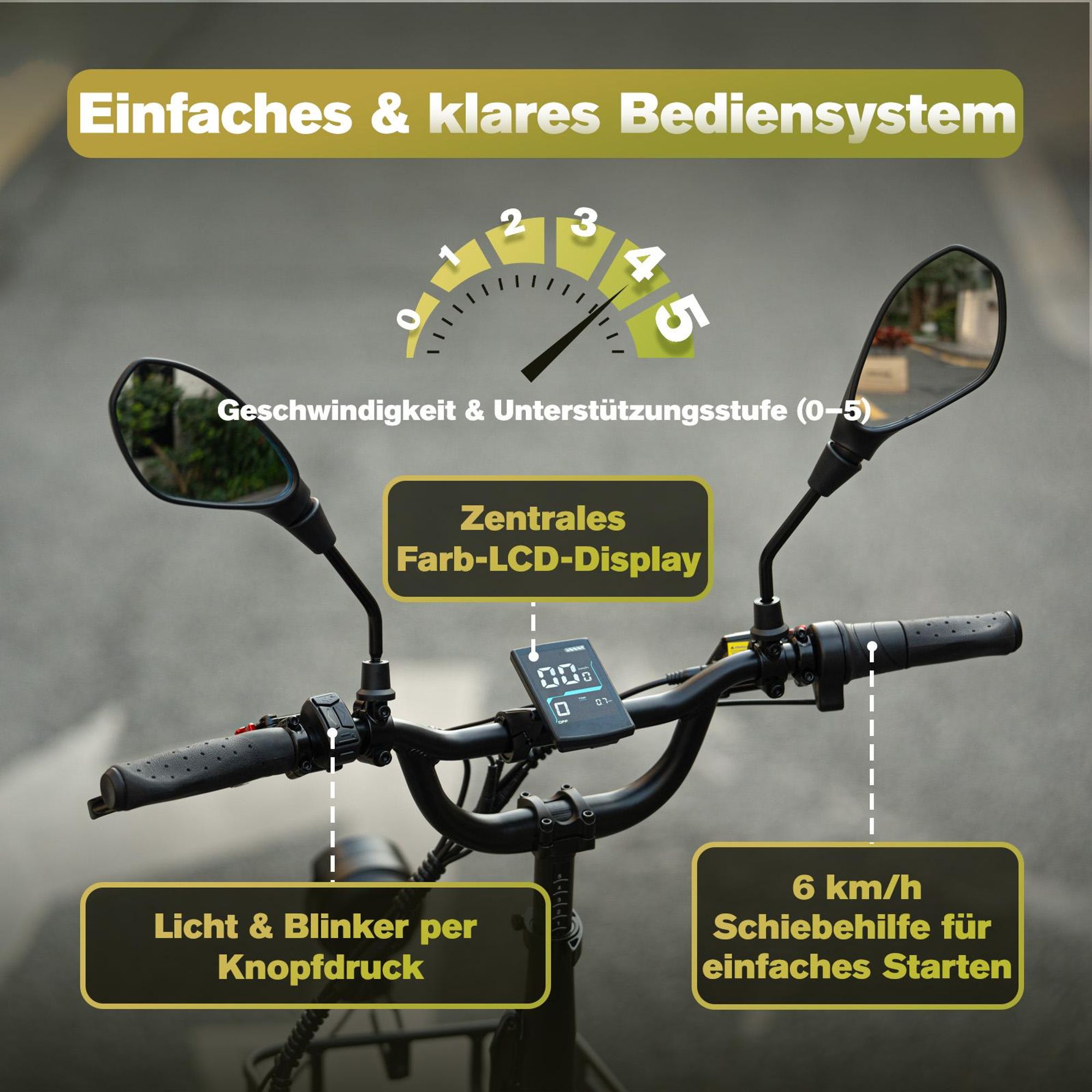 FAFREES F20 Mate II Elektrofahrrad - Motor 250W Akku 48V21AH 20" Reifen Hydraulische Scheibenbremse - Anthrazitschwarz