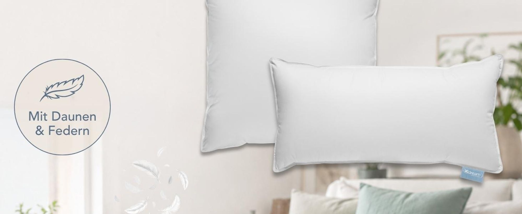 Premium Daunen Kopfkissen | 80 x 80 cm | XDREAM Daunenkissen