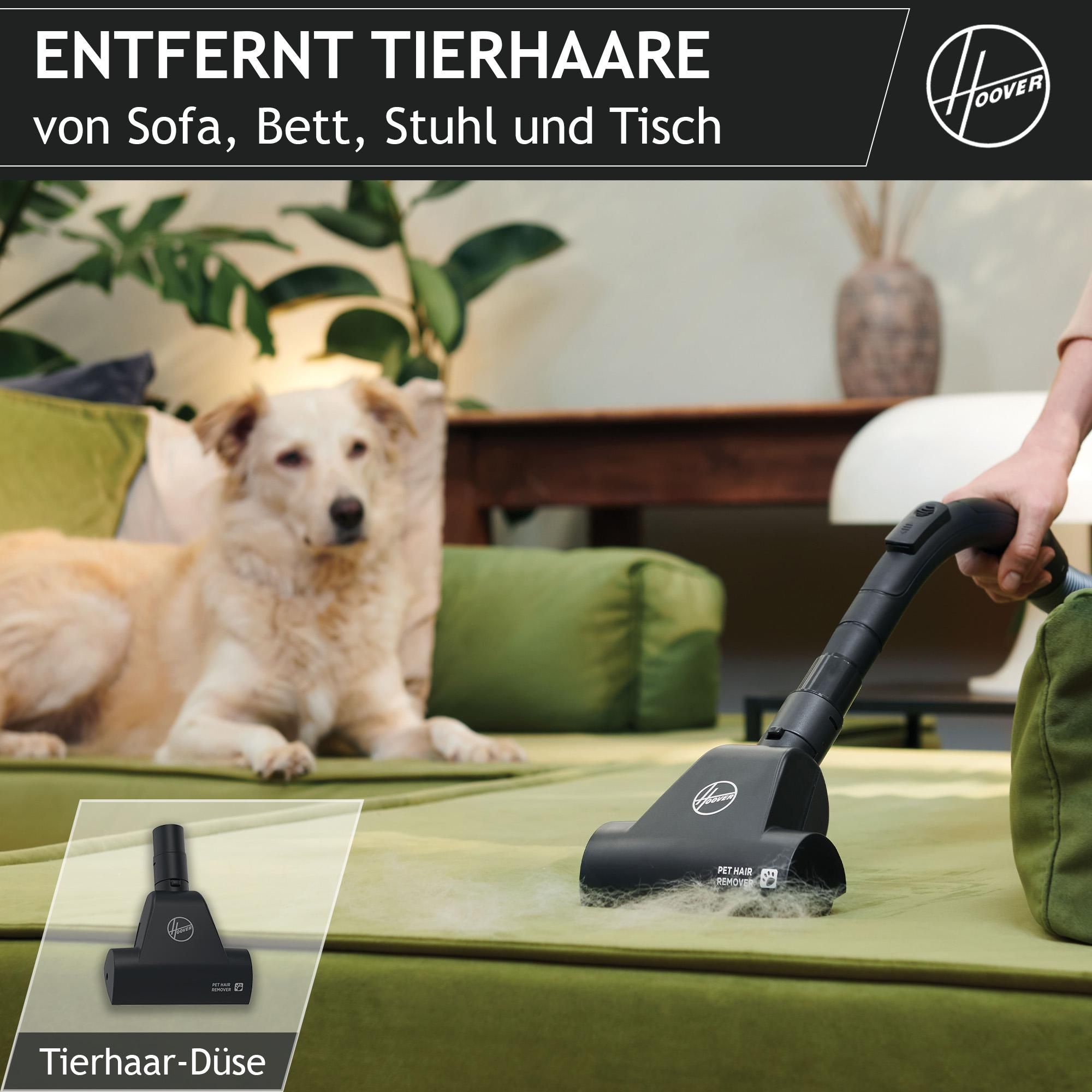 Staubsauger entfernt Tierhaare vom Sofa