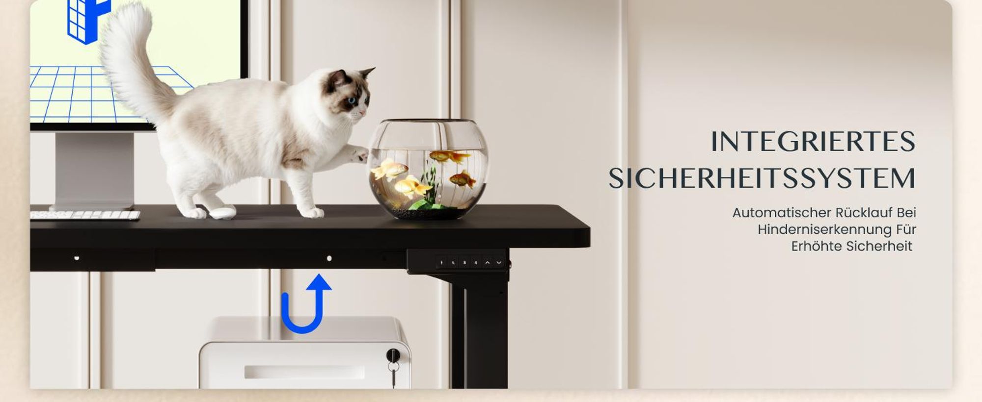 FLEXISPOT Höhenverstellbarer Schreibtisch Gestell elektrisch mit 4 Beinen, Dualmotor, 150KG Tragkraft, 4 Speicherplätzen für Büro und Zuhause, Schwarz