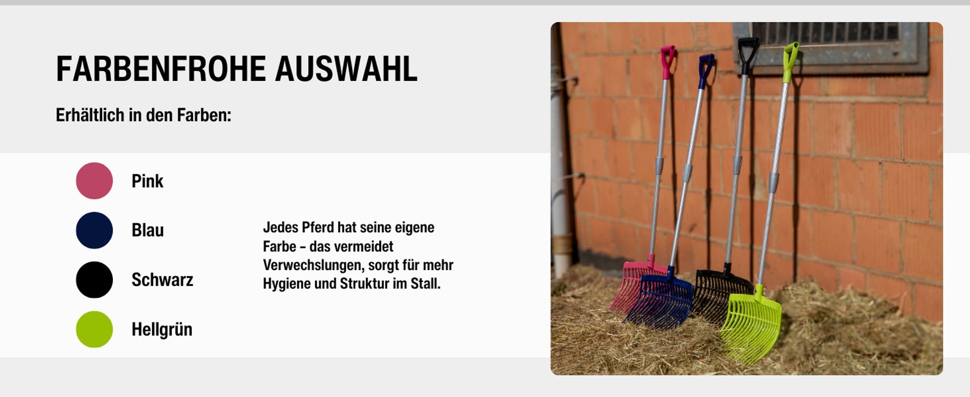 Schwedengabel V-Fork pink – Höhenverstellbare Mistgabel 75–115 cm aus Polycarbonat