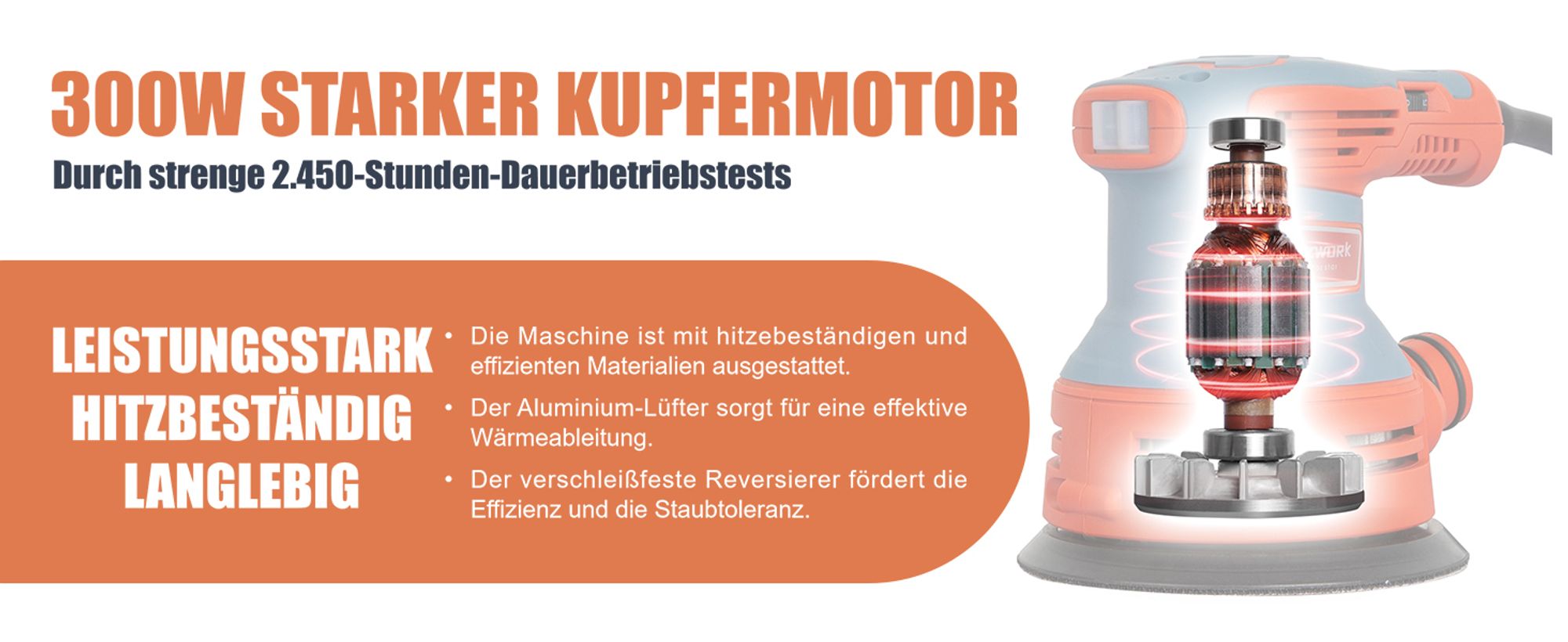FANZWORK 300W Exzenterschleifer 125mm