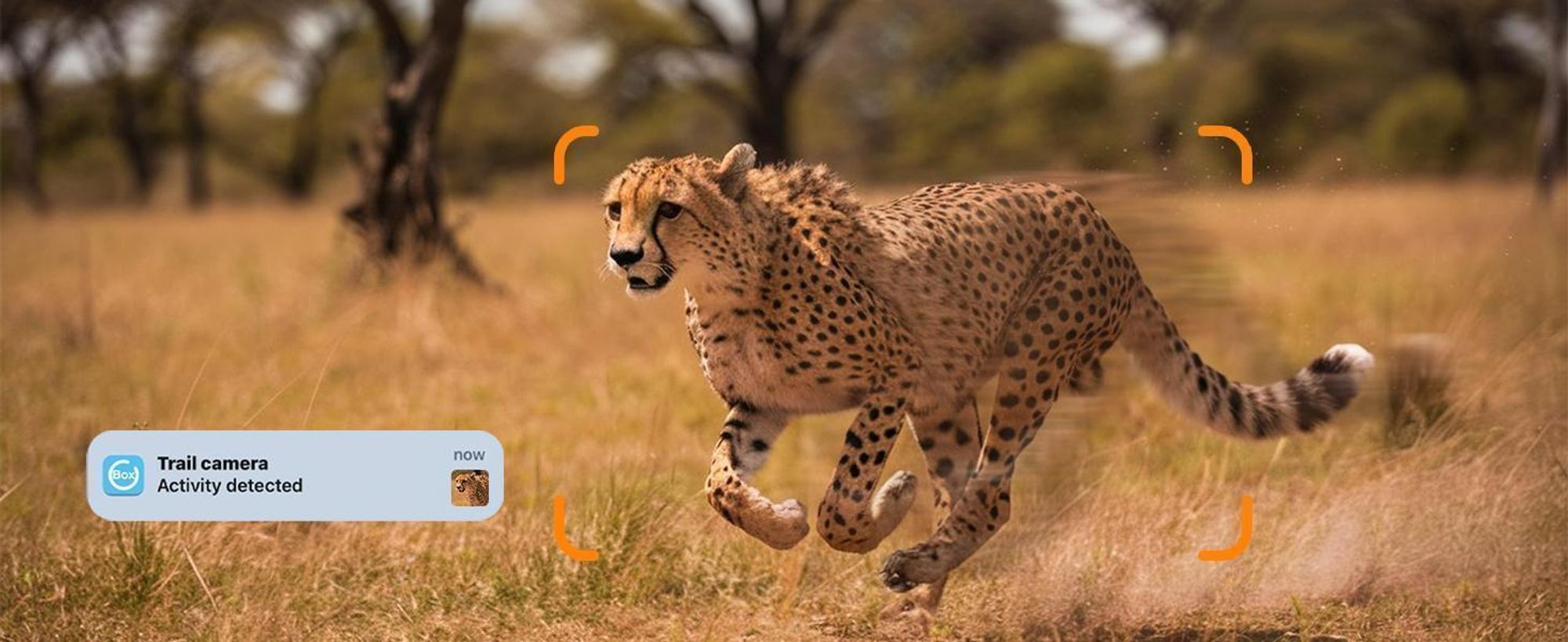 4G LTE Solar Wildkamera 2K 360° PTZ mit Handyübertragung App SIM Karte 32GB Speicherkarte Bewegungsmelder Nachtsicht Wildtierkamera