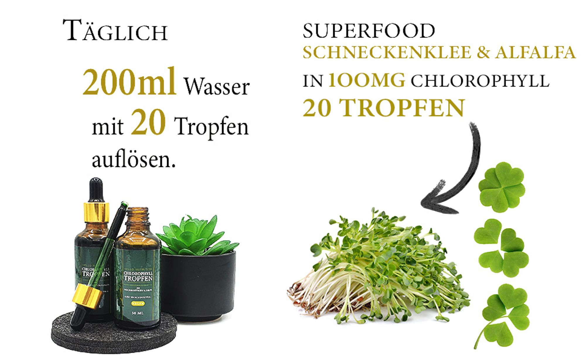 Hello Nutrition ® Chlorophyll Tropfen – Stärken des Immunsystems – Erhöhung der Energie und Vitalität – Unterstützung der Verdauung – vegan