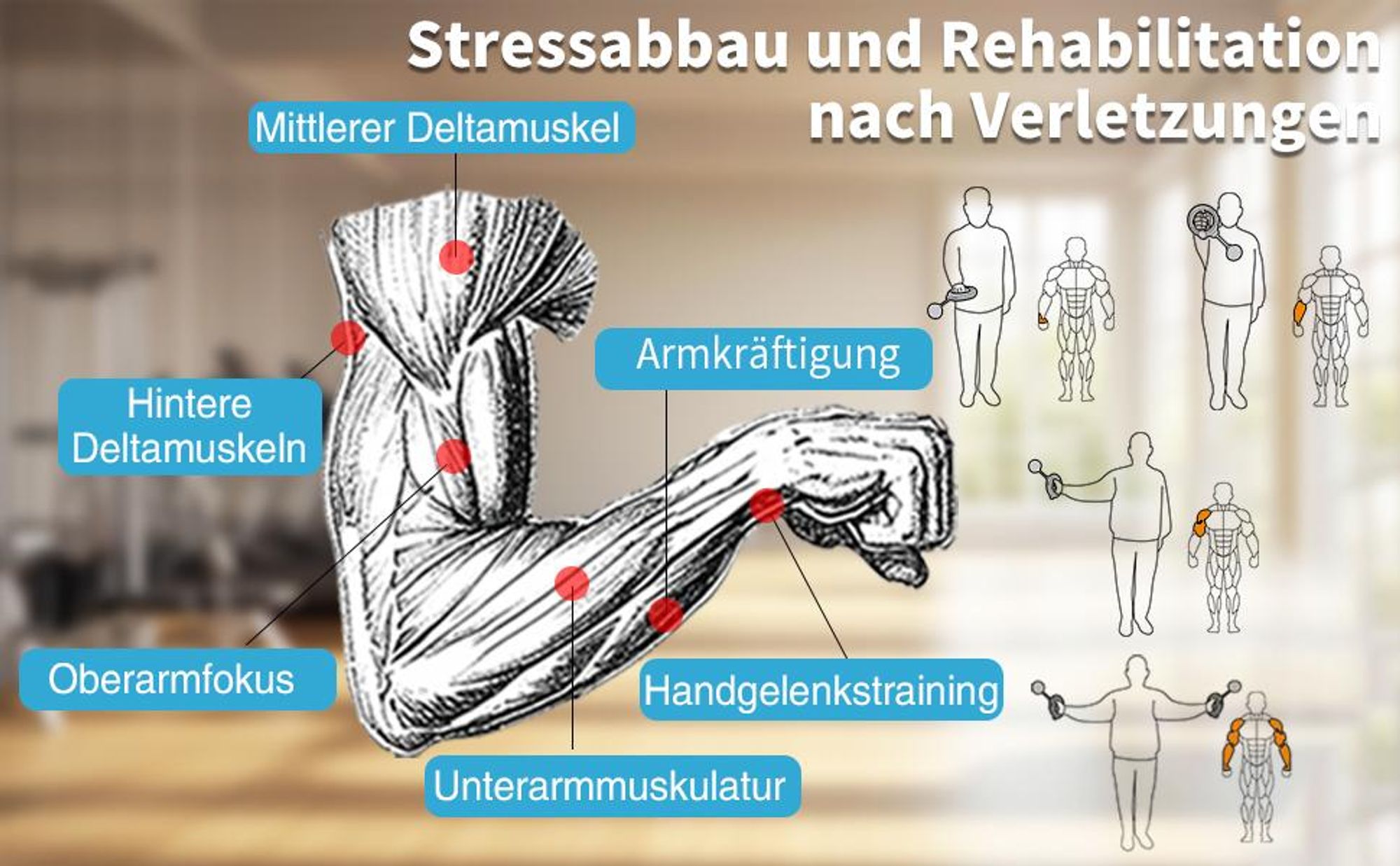 Armtrainer, Unterarmtrainer, Handgelenktrainer, mit 360° Rotation, Handkurbel Brusttrainer, für das Training der Schultern und der Armmuskulatur