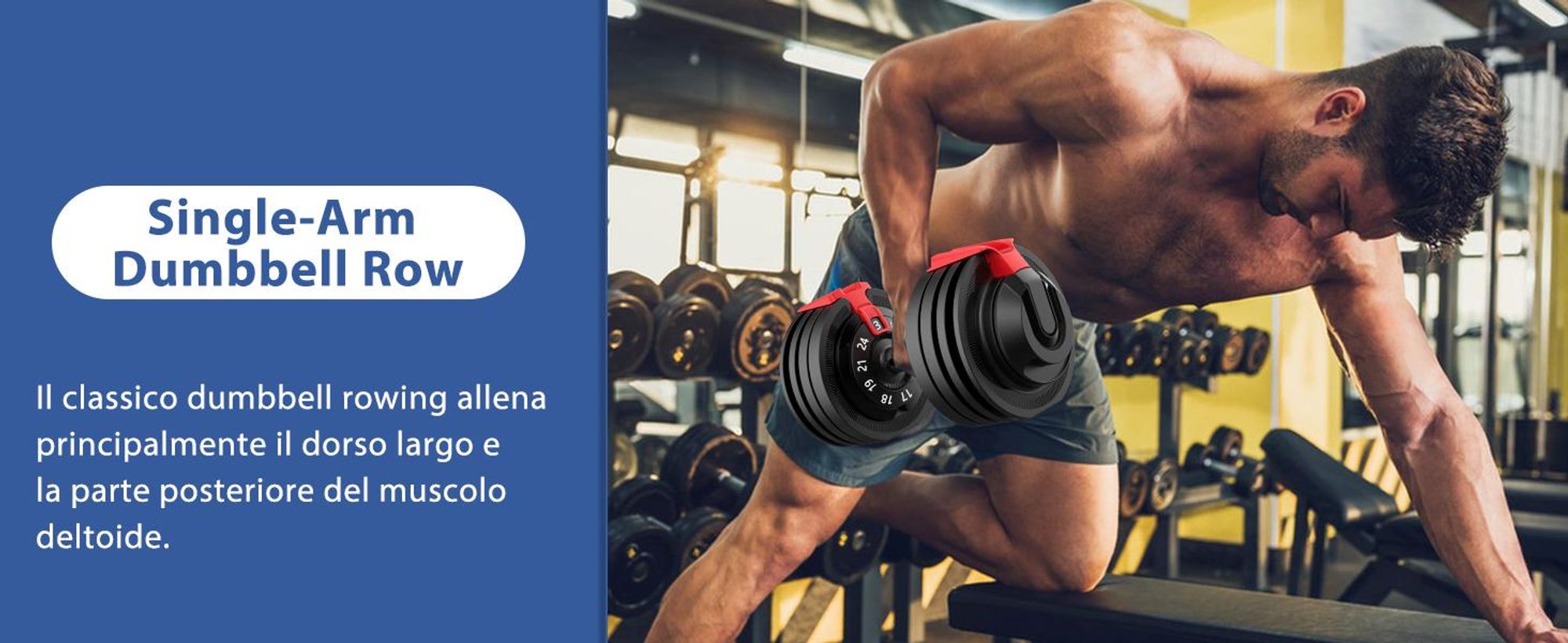 DH FitLife Manubrio Regolabile 3-24 kg con 12 Livelli di Peso, Pesi Variabili 12 in 1, Manubrio Corto Regolabile per Allenamento Casa