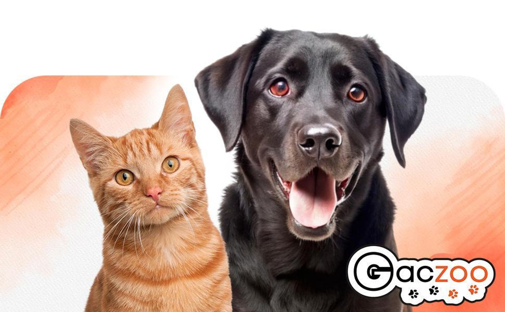 Gaczoo, Hühnerfüße Kauartikel für Hunde, Hundeleckerli Getrocknet Hund, 500g