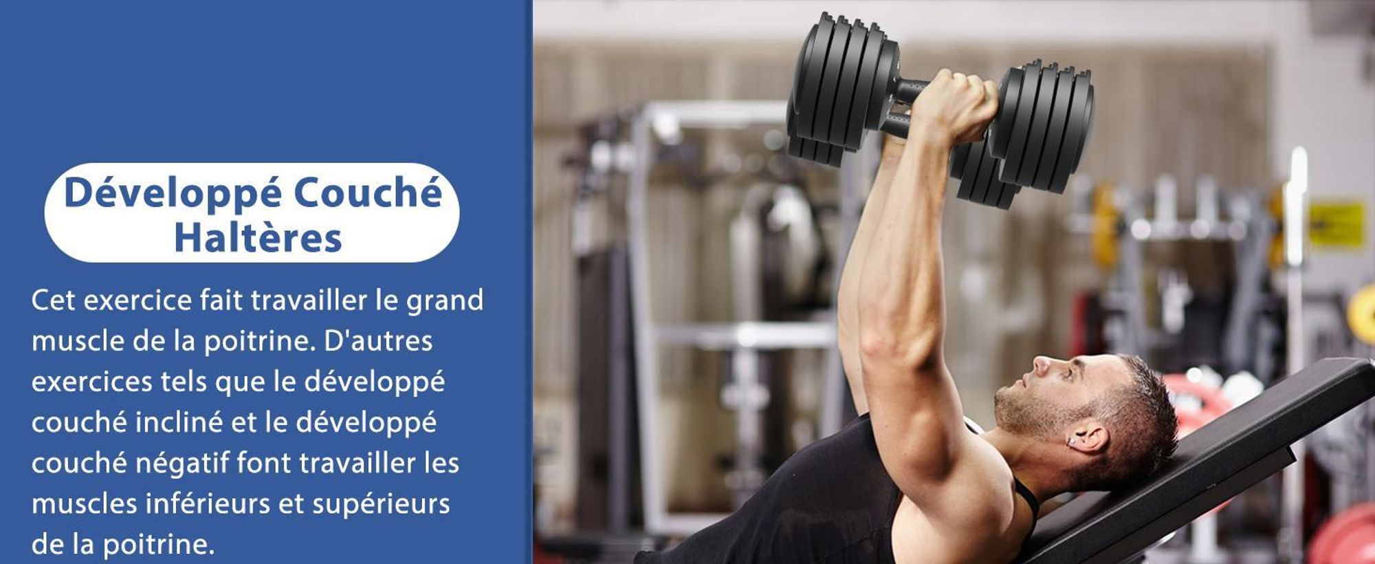 DH FitLife Haltères réglables - Lot de 2, poids variable de 2 à 12 kg, 5 niveaux de poids - Disques inclus - Ajustables et compacts