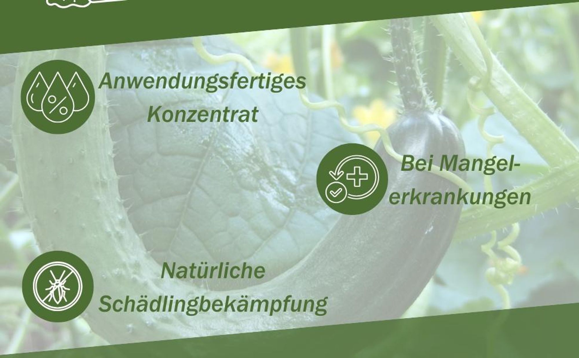 GreenPanda Gurken & Zucchini Dünger - Phosphor Kalium Dünger - Intensiviert Geschmack & Ernte! 1 Liter Gurkendünger - Zucchinidünger