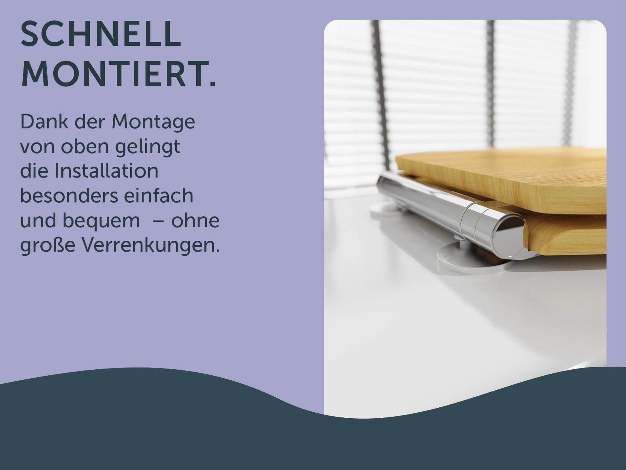 Das Bild zeigt den WC-Sitz mit den Scharnieren von hinten, die von oben zu montieren sind.
