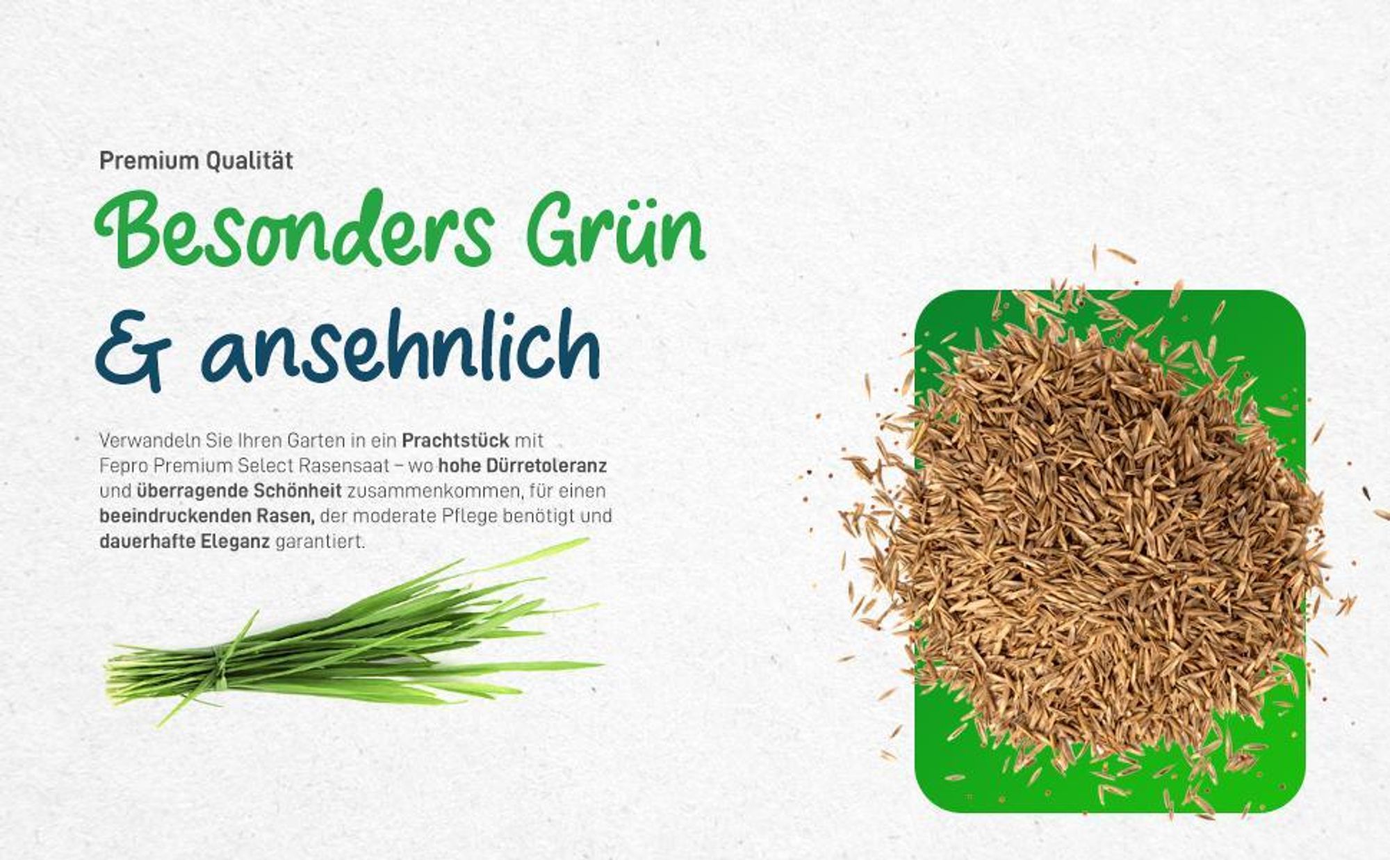 1kg Premium Rasensamen für Profis 40m², Zierrasen Superrasen, besonders dichtwachsend und tiefgrün, ideal für Neuansaat und Nachsaat, Rasensaat Grassamen