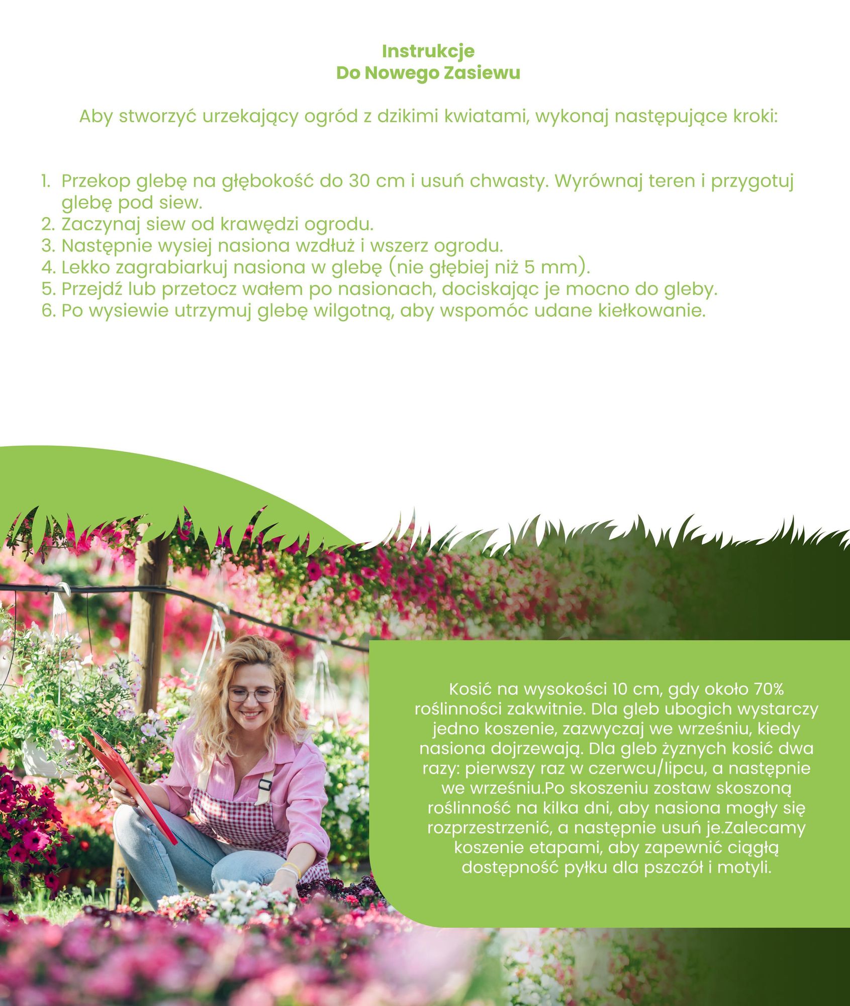 Mieszanka dzikich kwiatów „Biodiversität” 2 kg = 1000 m² – nasiona 62 gatunków kwiatów łąkowych, pasieka dla pszczół i owadów, mieszanka kwiatowa do ogrodu naturalnego – Organifer