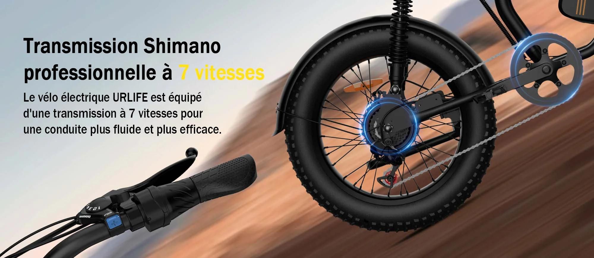 URLIFE T2 Vélo Électrique - Moteur 250W Batterie 48V 15.6Ah Pédalier assisté Freins à disque - NoirFreins à disque - Noir