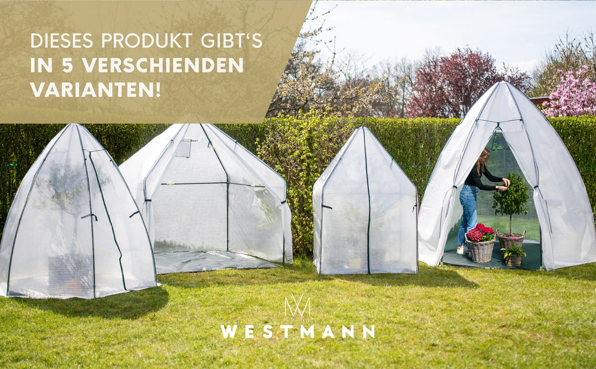 Westmann Überwinterungszelt & Foliengewächshaus Avocado Weiß 250x250x250 cm